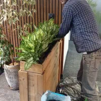 سمپاشی و باغبانی تضمینی تهران