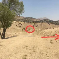 زمین۲۲۵مترتلوحکیمیه/شخصی/نقد/یاباماشین/توضیحات مهم|فروش زمین و ملک کلنگی|تلو, |دیوار