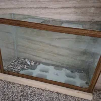 آکواریوم سالم و در حد نو