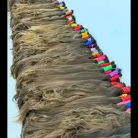 خرید مو بدون واسطه ودلال