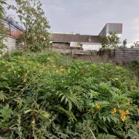 زمین-284-متری-پیربازار-سند-تک-برگ