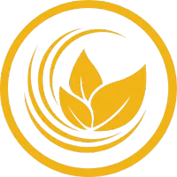 گمشده سویچ خودرو پراید