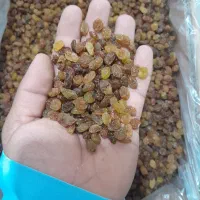 کشمش درجه ۱و۲