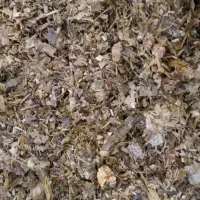 بلال تفاله ۴۰تون پور شده