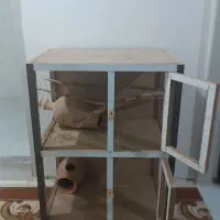 لانه پرنده