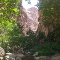 تور برنامه طبیعت تفریحی تور