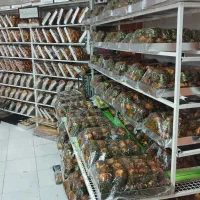 استخدام نیروی جوان آقا  جهت وردست قنادی