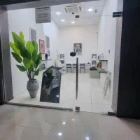 دیپلمات مال -عربها