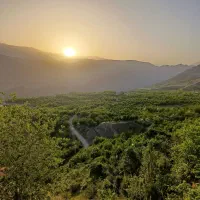 باغ زمین باغ گیلاس6000هزار متر|فروش دفتر صنعتی، کشاورزی، تجاری|تهران, قلهک|دیوار