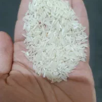 برنج فجر|خوردنی و آشامیدنی|مشهد, نوده|دیوار