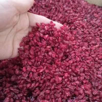 زررشک پلویی