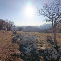 وام خریدارم. اشتراکی هم خودم ضامنم