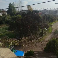 پرتقال آب گیره.