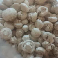 قارچ دکمه ای تازه