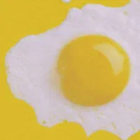 پخش تخم مرغ به کل تهران حتی 1 کارتن