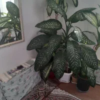 گل ساختمانی