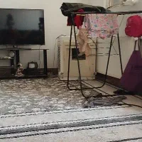 گربه