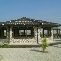 طرح سنگ و طرح چوب بتونی|خدمات پیشه و مهارت|برازجان, |دیوار