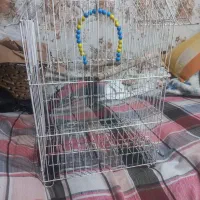 قفس رنگ سفید با تاب و چوب