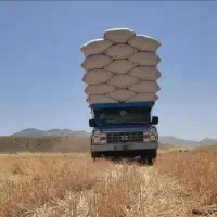کاه گندم . بیده پرس .