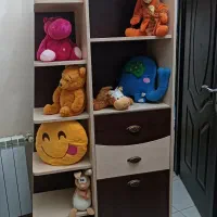 بوفه و کمد جالباسی کشودار برند الوان