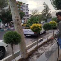 خدمات باغبانی تعویض خاک گلدان تمام نقاط تهران کرج