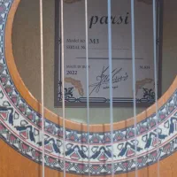 گیتار فروشی پارسی مدل M3|گیتار، بیس، امپلیفایر|قزوین, |دیوار