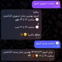 ربات دستیار ادمین اینستاگرام|خدمات رایانه‌ای و موبایل|کرج, گوهردشت|دیوار