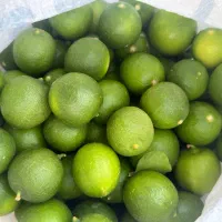 لیمو ترش