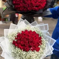 گلستان رُز|گل و گیاه طبیعی|اندیمشک, |دیوار