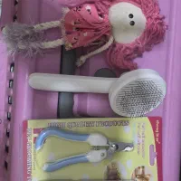 گربه نر میکس پرشین|گربه|تهران, نبی اکرم|دیوار