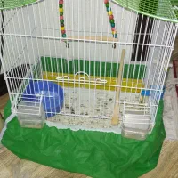 قفس پرنده وخرگوش