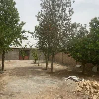 فروش-سوله150متربا-500مترمحوطه-کمربندی-جنوبی-ورامین