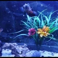 فروش اکواریم