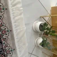 محافظ ریشه فرش
