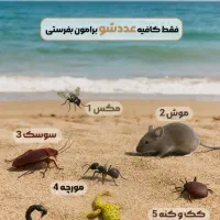 سمپاشی ساس کنه کبوتری جوندگان تضمینی|خدمات نظافت|محمدیه-قزوین, |دیوار