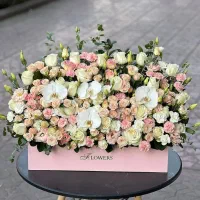 فروش گل طبیعی بصورت آنلاین|گل و گیاه طبیعی|تهران, صادقیه|دیوار