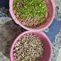 سمبوسه|خوردنی و آشامیدنی|تهران, جوادیه تهرانپارس|دیوار