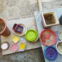 تعدادی گل و گلدان|گل و گیاه طبیعی|شاهین‌شهر, فدک|دیوار