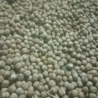 گروه خشک کاغذی