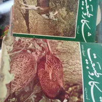 مجله کودک قدیمی