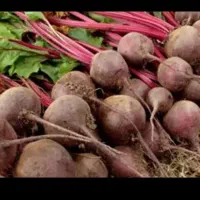 لبویی شیرین