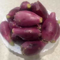 فروش میوه کاکتوس