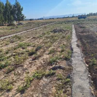 زمین به پلاک های ۵۰۰ ، ۱۰۰۰ متری بفروش می رسد|فروش دفتر صنعتی، کشاورزی، تجاری|شوشتر, |دیوار