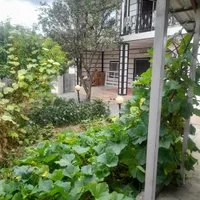 اجاره سوئت شبانه