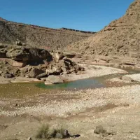 طبیعتگردی