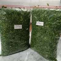 انواع سبزی|خوردنی و آشامیدنی|اهواز, سپیدار|دیوار