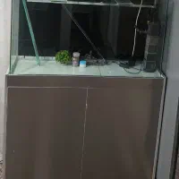 آکواریوم