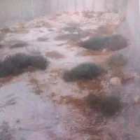 زمین-مسکونی