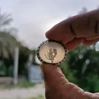 انگشتر شجر
